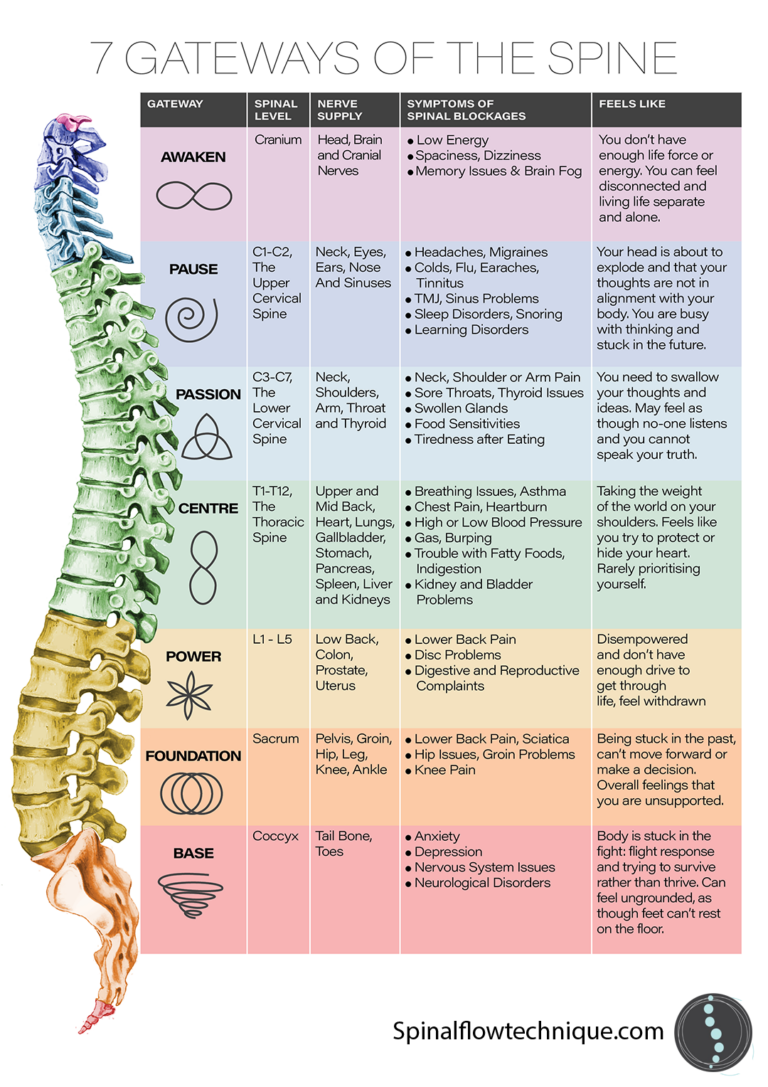 Spinal Flow chart image.